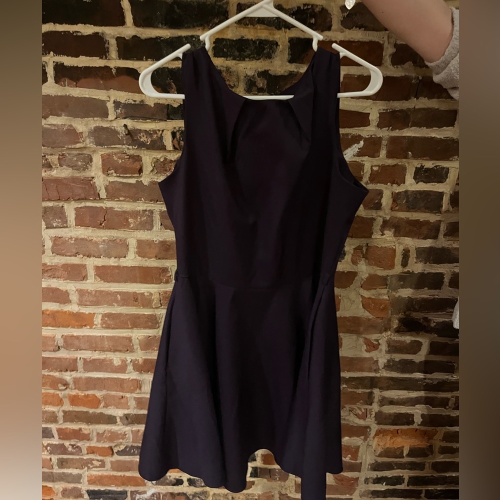 Plum skater Modcloth cocktail dress size 16